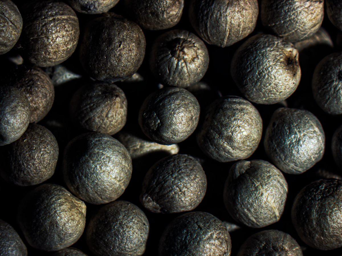 Green peppercorns made large.