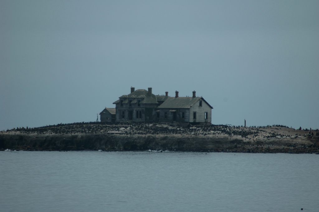 Año Nuevo Island