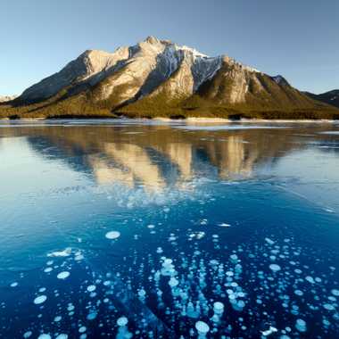 Frozen bubbles in the ice of Lake Abraham.