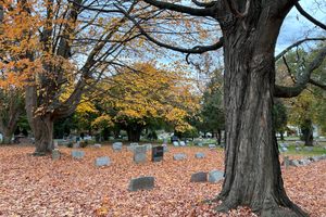Photo of New Jersey