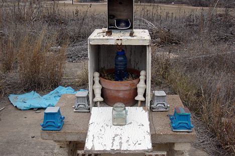 Remnants of the Austin State School Farm Colony
