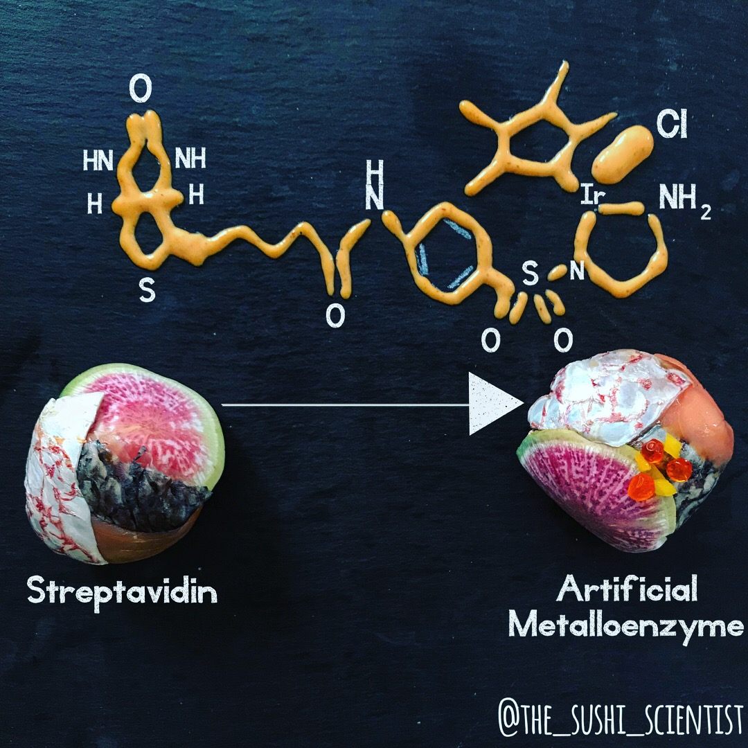 In this collaboration with science_exercises.eu, artificial metalloenzymes have never looked so good