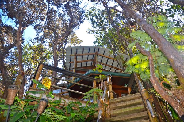 Kīlauea Treehouse