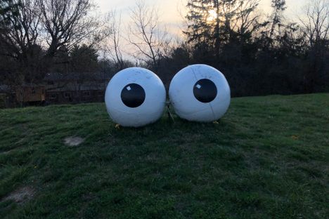 Lawnmowers and landscapers simply work around the eyeballs. 