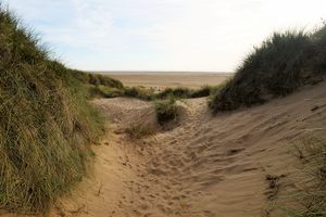 Sand Dunes of St. Anne's in Saint Annes, England