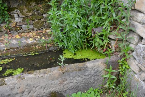 Hall Hill Troughs.