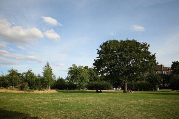 Weavers Field