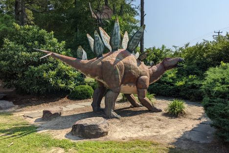 Stegosaurus.