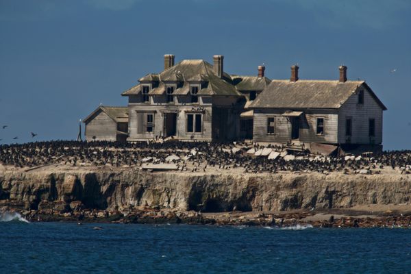 Abandoned house on Año Nuevo Island