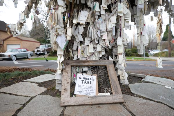 The Wishing Tree