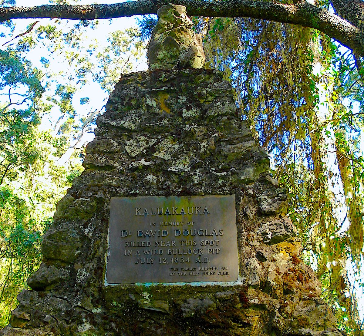 The Mysterious Death of the Namesake of the Douglas Fir