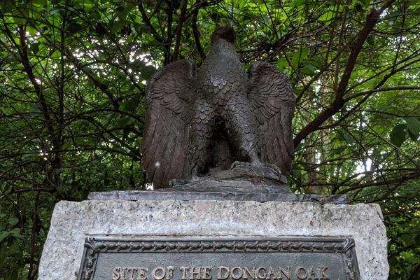 Site of the Dongan Oak