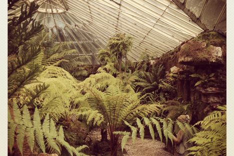 Ascog Hall Victorian Fernery