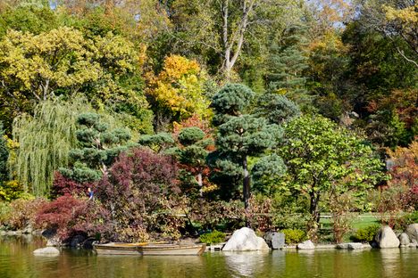 Gardens in the Autumn