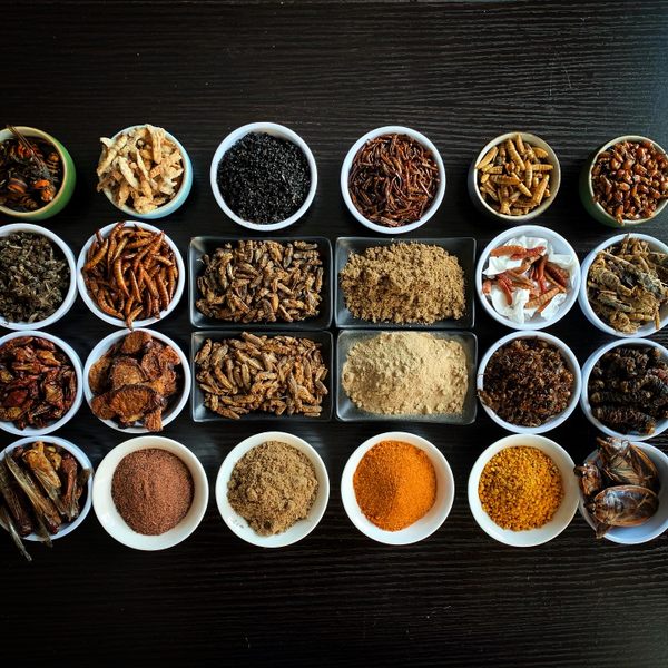 Cooking Insect-Based Dishes With Joseph Yoon - Atlas Obscura Experiences
