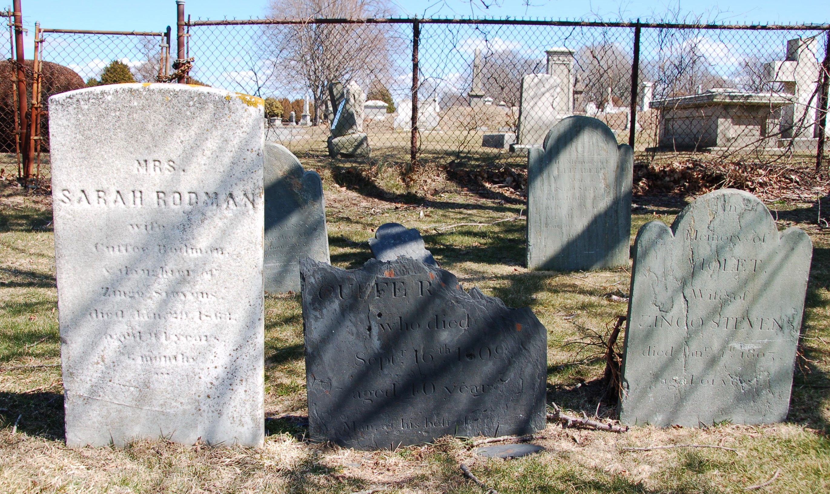 Stevens/Rodman Family Plot.