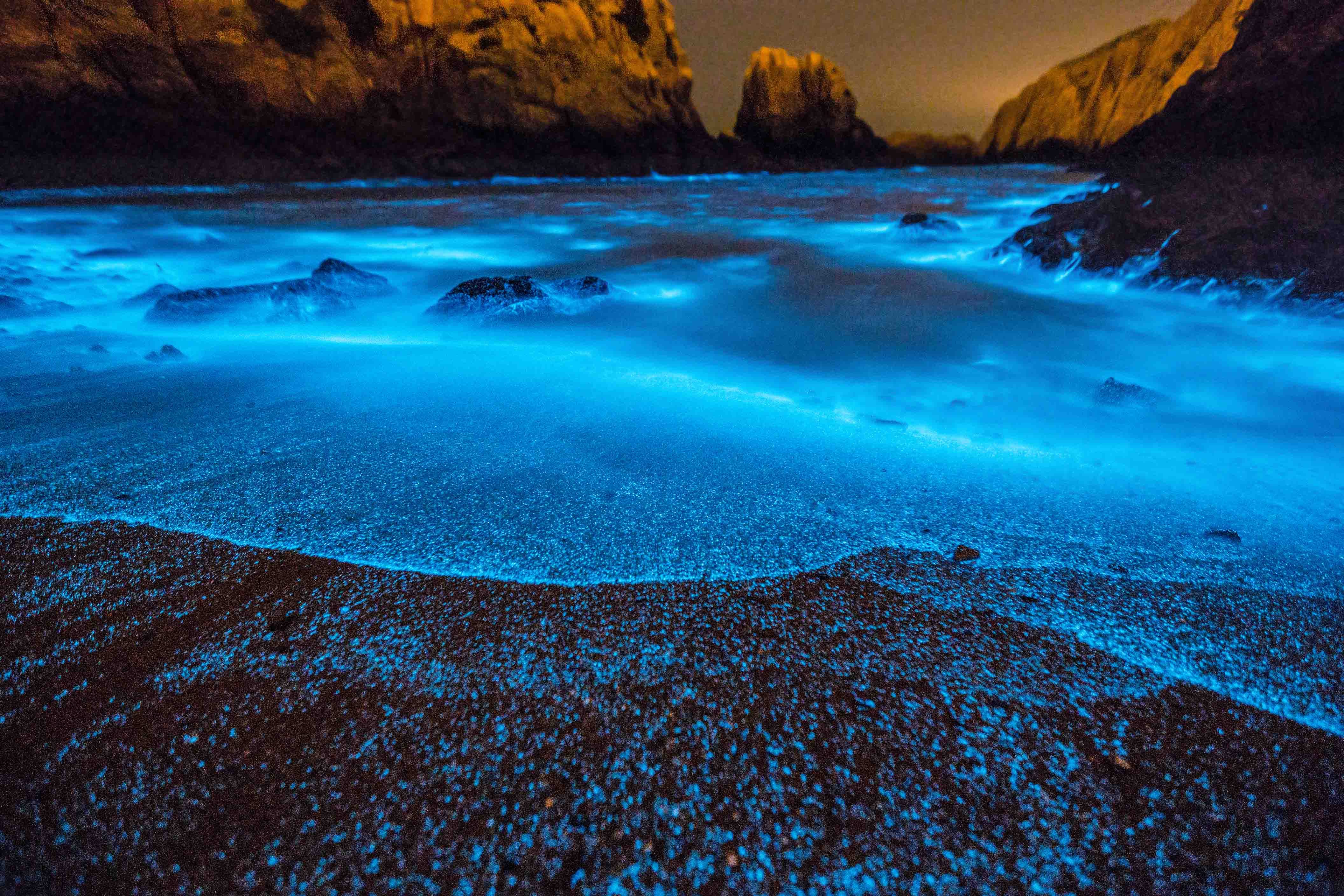Water in the night containing beautiful Noctiluca scintillans that glows