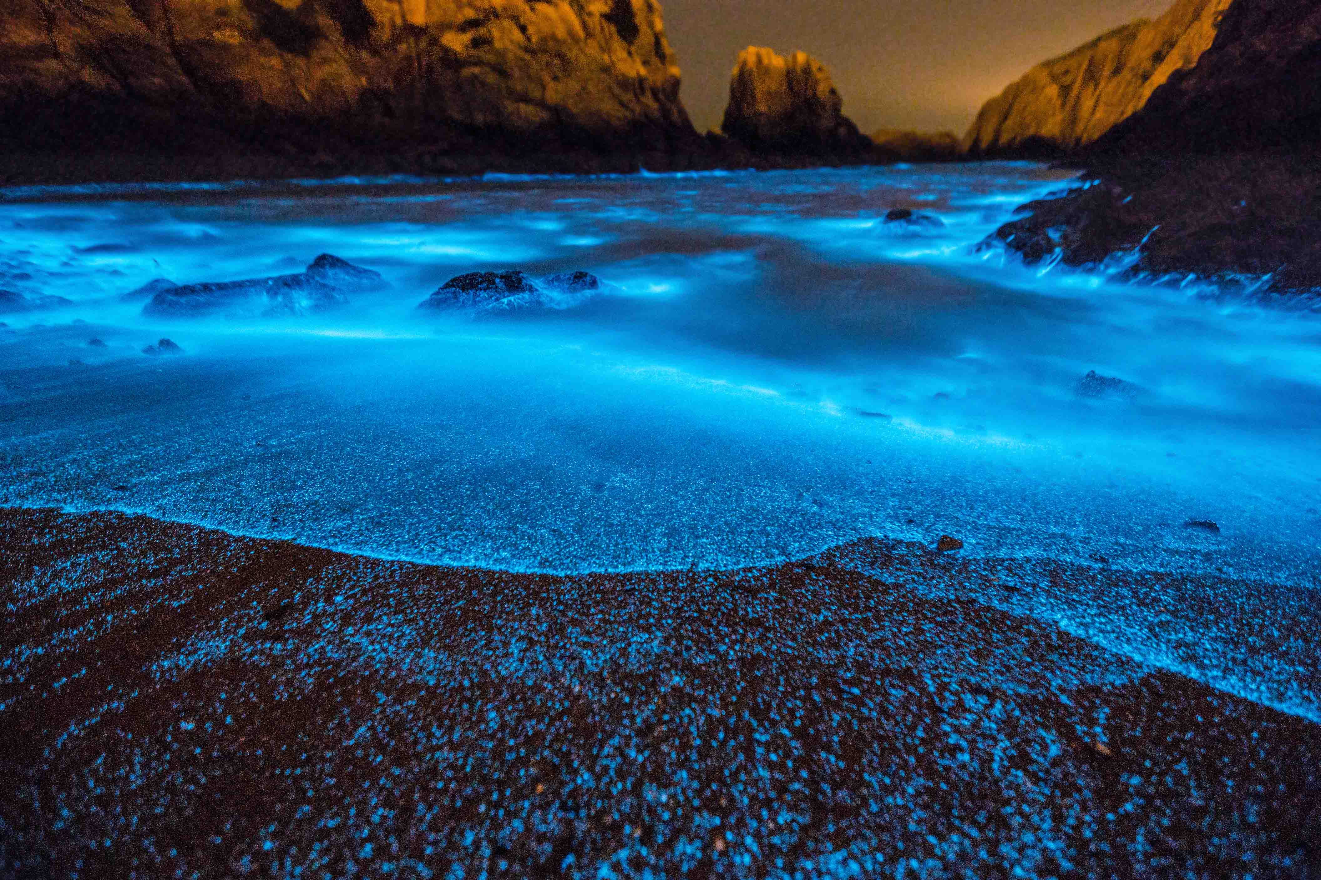 Bioluminescent algae photo not harmful: professor - Taipei Times