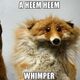 OKFerret94 profile photo
