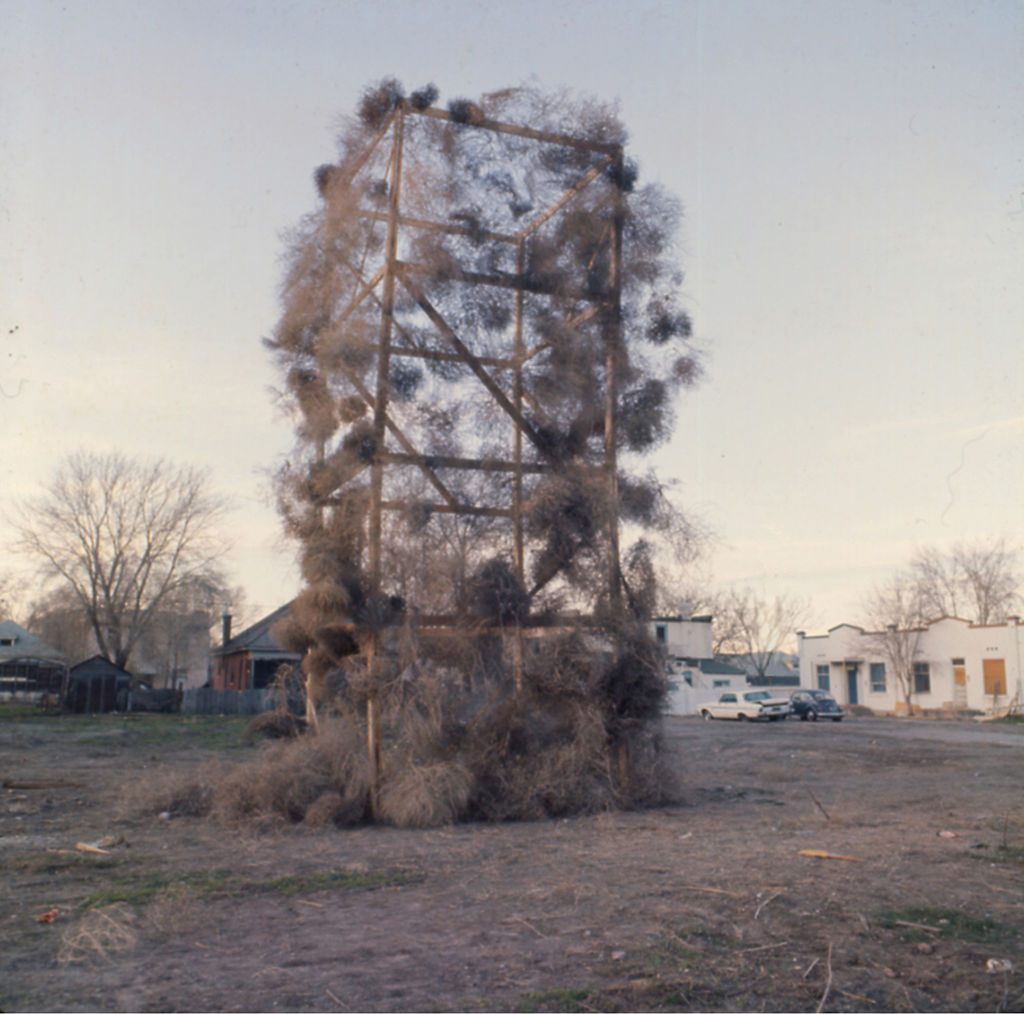 California's Meddlesome Tumbleweeds Could Grow Even More Menacing - Atlas  Obscura