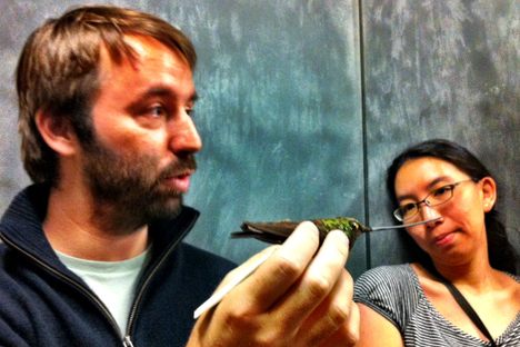 Hands-on Birds: An Obscura Day Tour of Moore Laboratory's Bird Specimen Collection