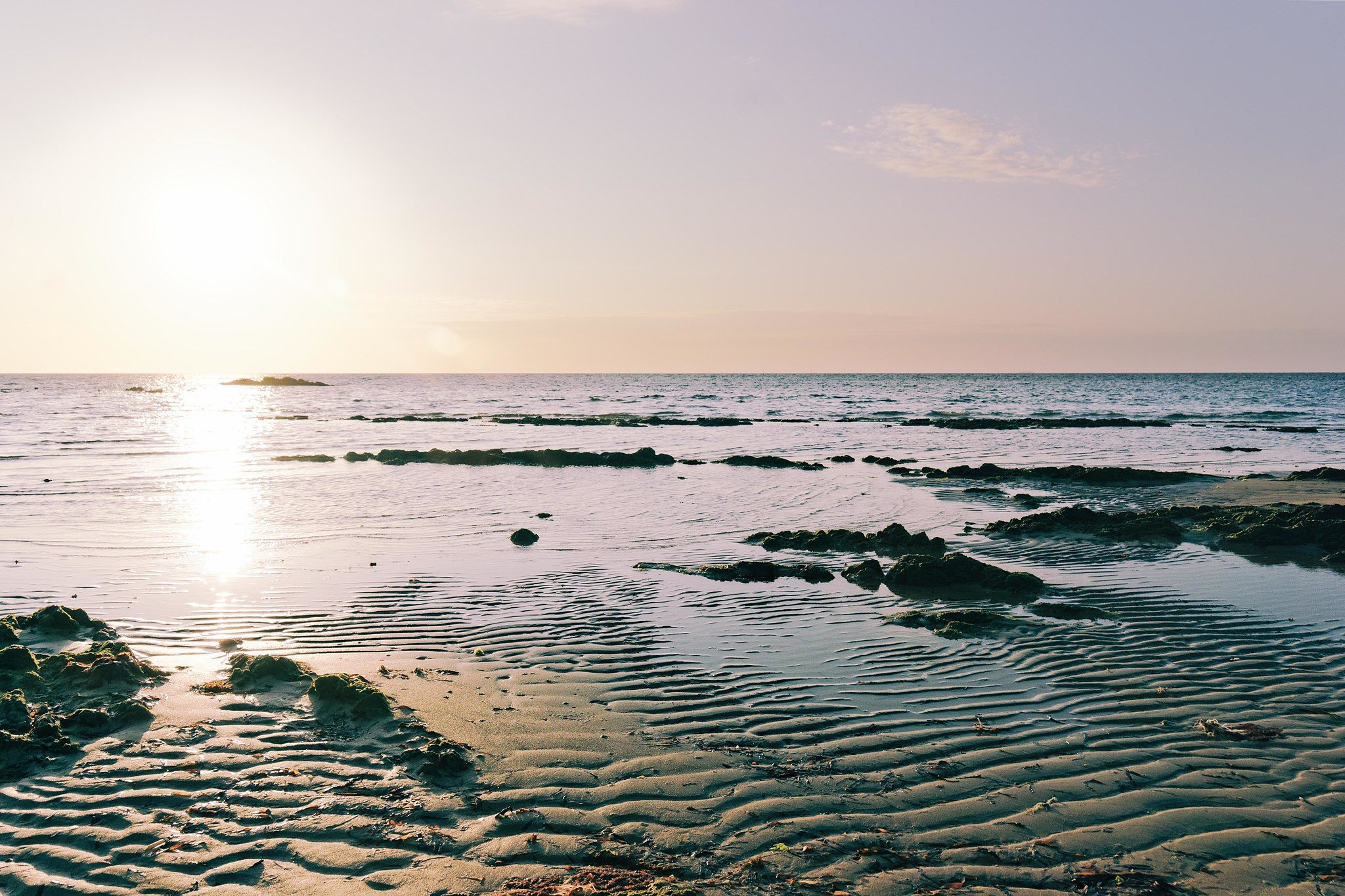 Wave ripples are common sights on seashores.