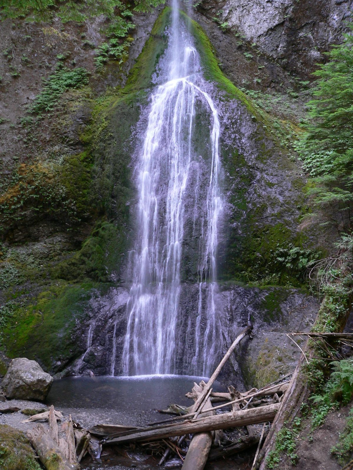 Marymere Falls in Washington State