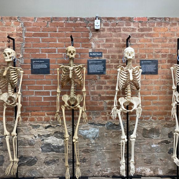 The Bone Museum - Atlas Obscura