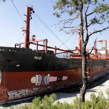 Rio Shipwreck 