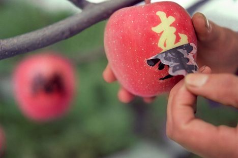 Mojie Apples