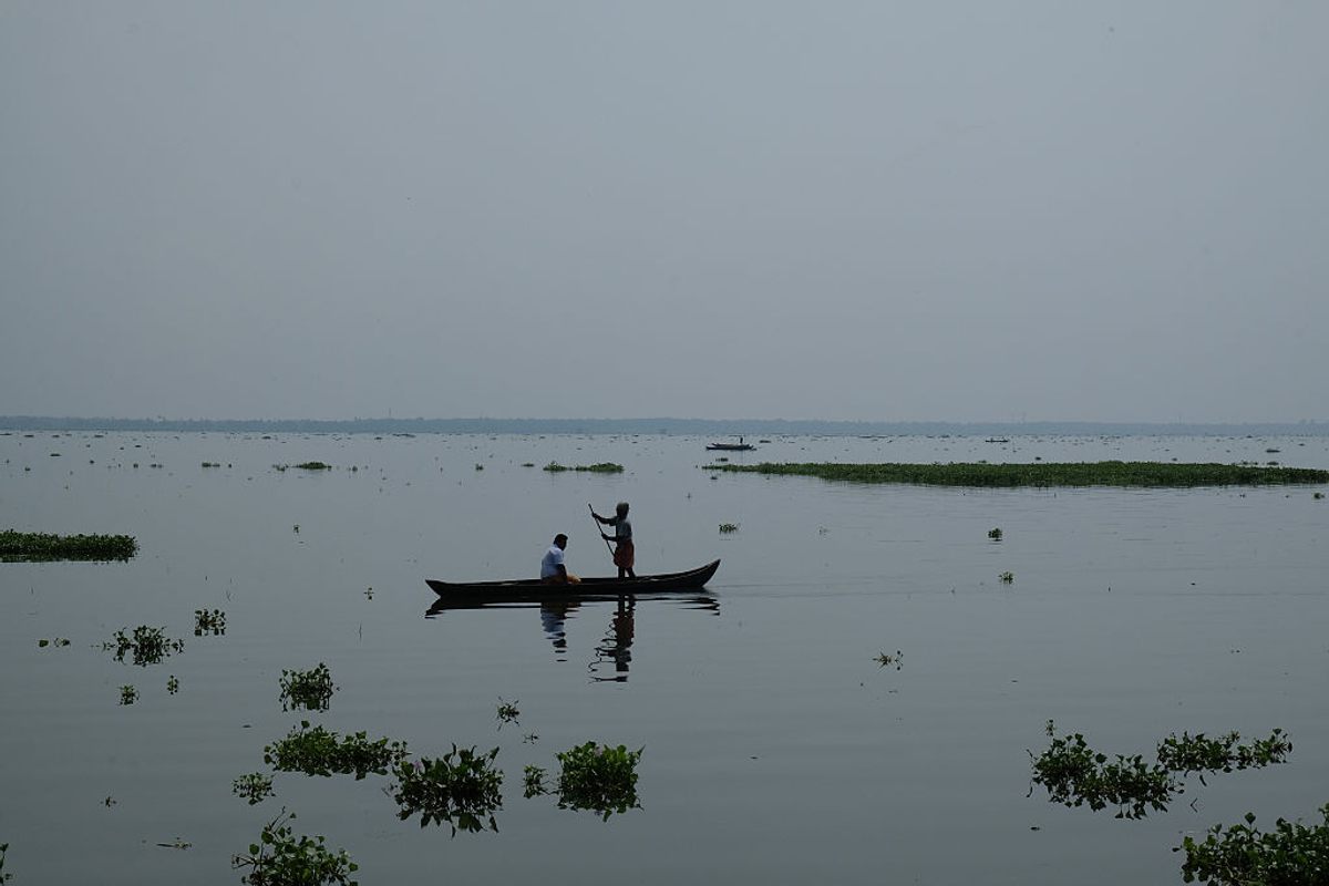 Kerala's backwaters form a web of water channels unlike anything else in the country.