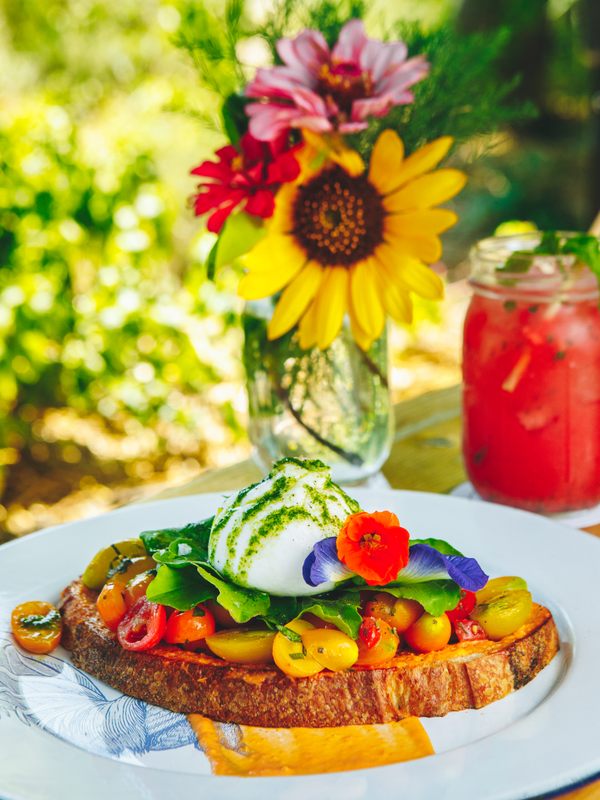 100% farm to table fresh brunch – burrata, pesto and heirloom tomatoes on toast.