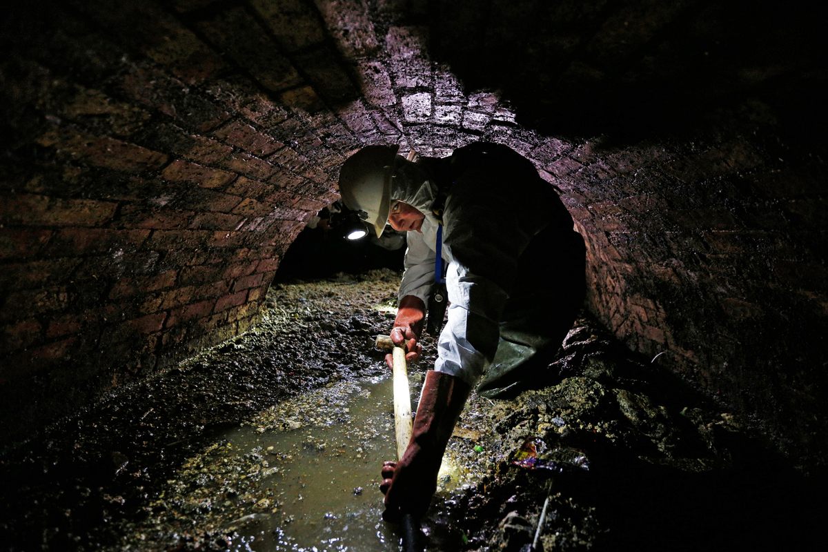 Glow in the Dark Tampons Detect Sewage Pollution - The Water Network