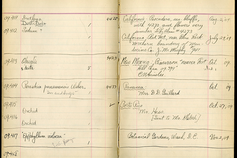 How the Smithsonian Institution Is Crowdsourcing History
