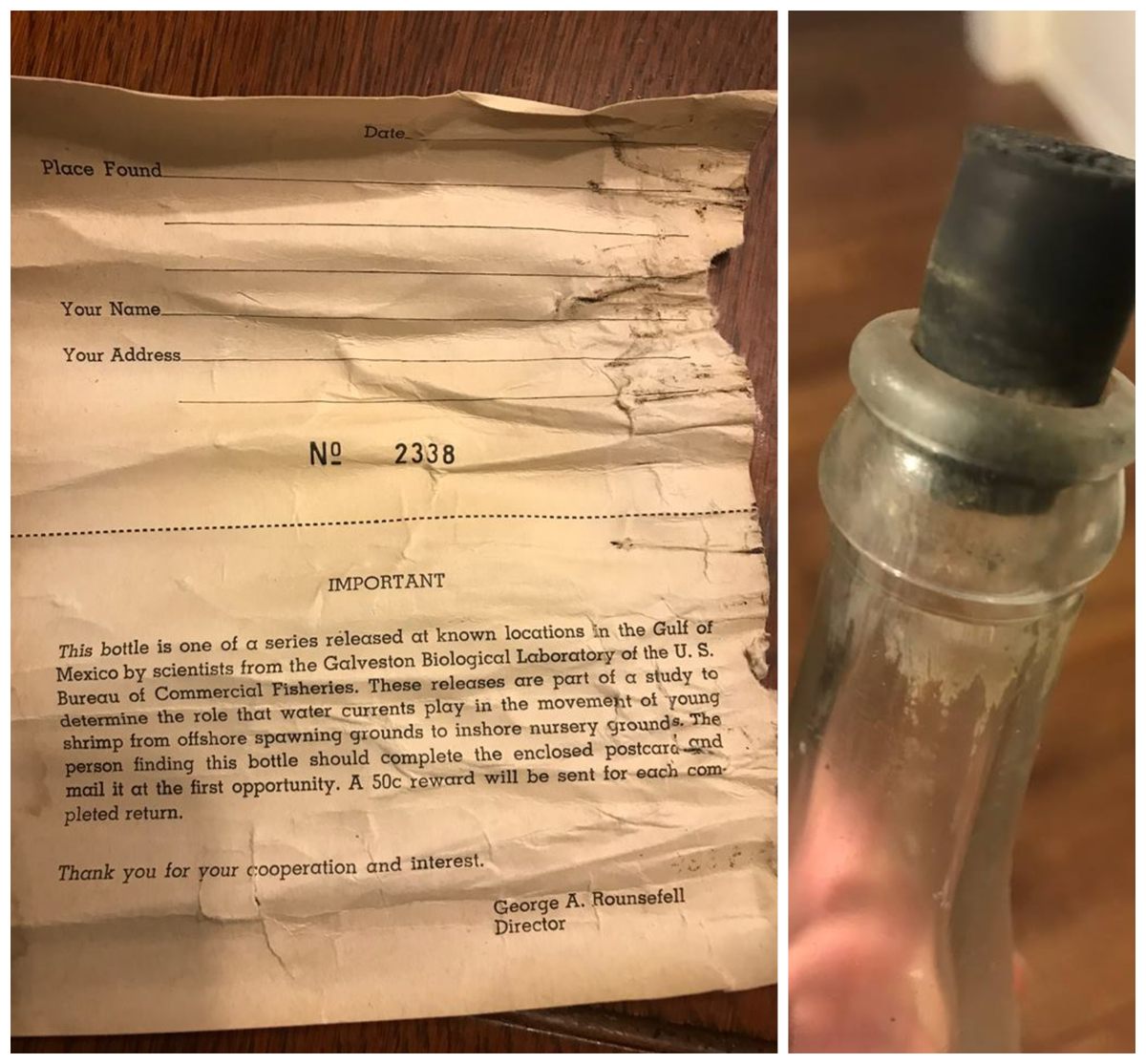 The stopper kept the postcard dry for decades.