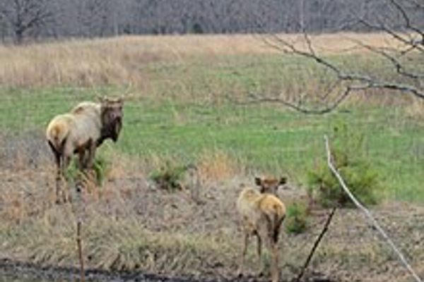 J.T. Nickel Family Nature & Wildlife Preserve