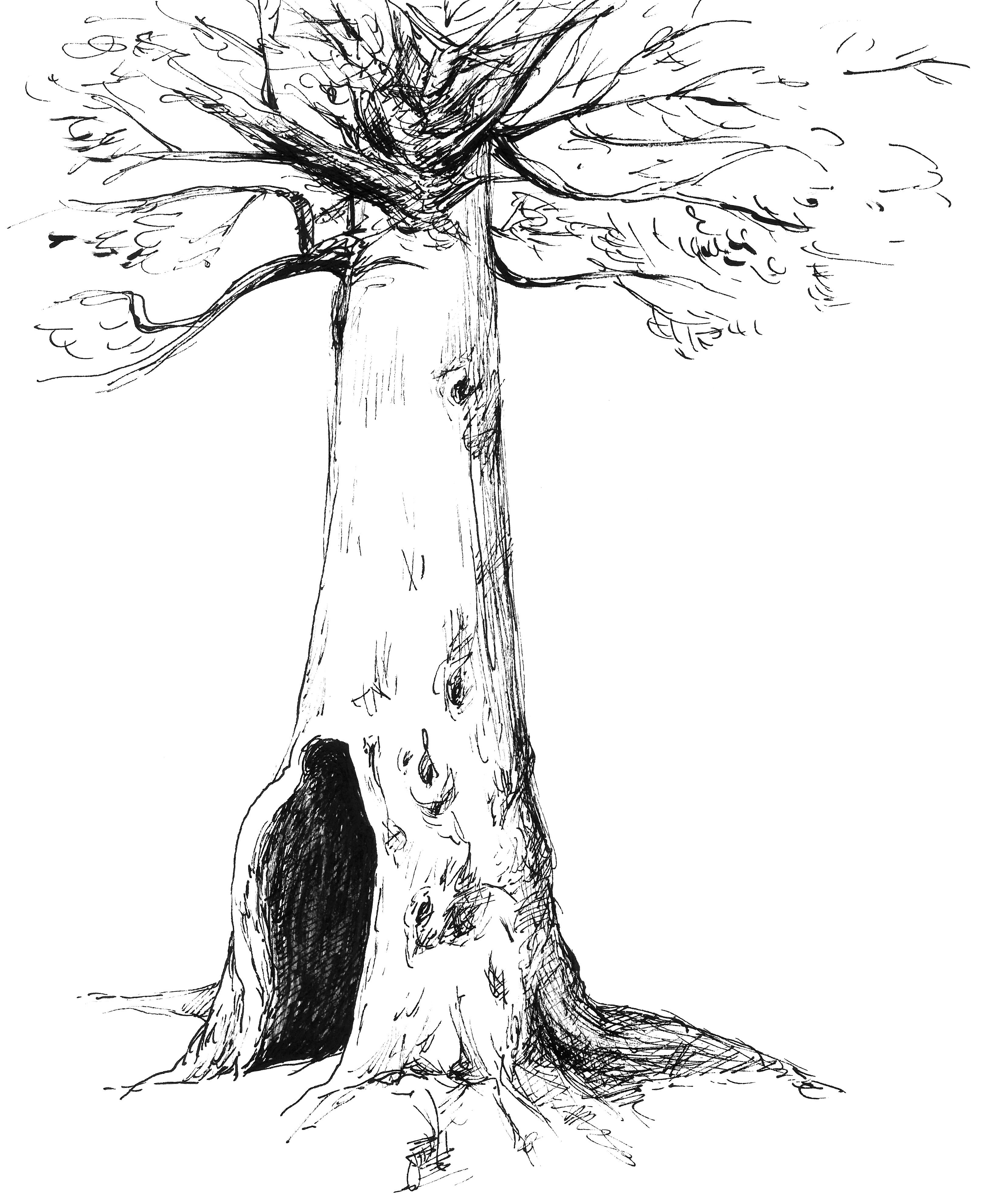 Pencil Drawing of Trees - Fine Art Blogger