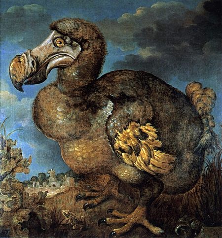 dodo - Atlas Obscura