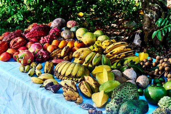 An assortment of tropical fruit at Miami Fruit Farm in Homestead, Florida.