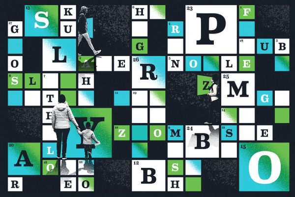 Expert crossword clue