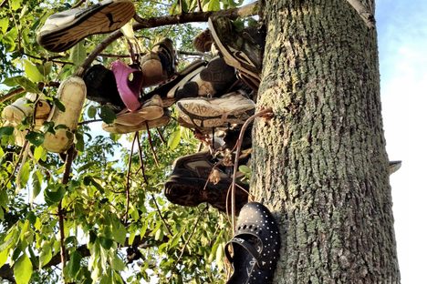 Lyndonville Shoe Trees