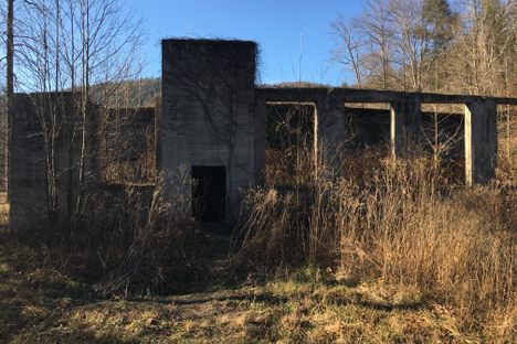 Building remains in Mortimer