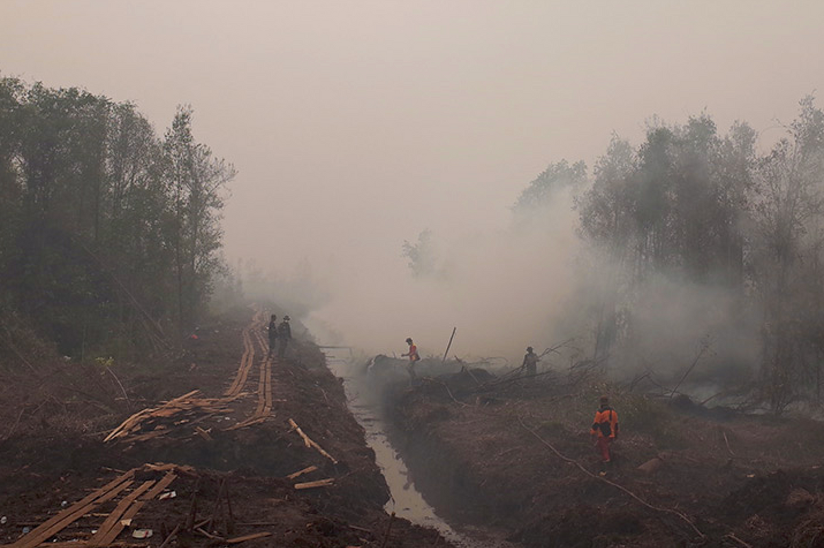 Pirmieji gelbėtojai bando užgesinti durpių gaisrą prie drenažo kanalo Indonezijoje 2015 m.;  dėl kanalų žemėja vandens lygis ir sausuoju metų laiku durpynai tampa labiau linkę užsidegti.