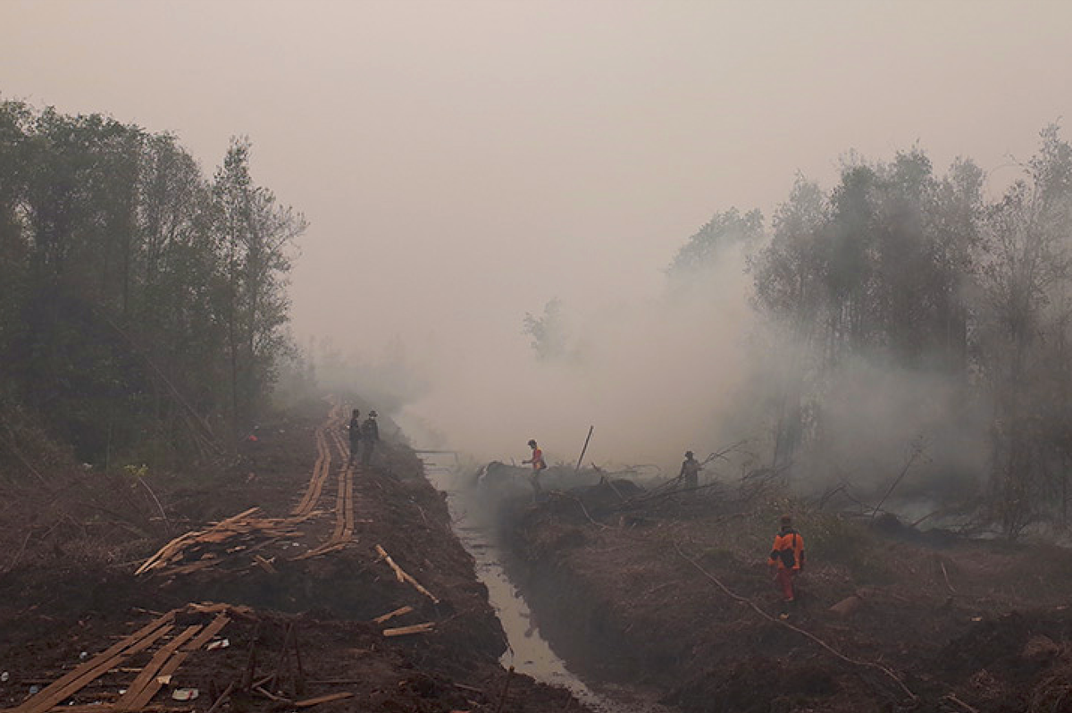 First responders attempt to put out a peat fire near a drainage canal in Indonesia in 2015; the canals lower the water table and make the peatlands more prone to catching fire in the dry season.