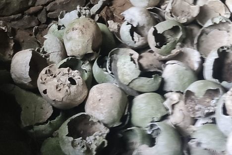 Ossuary at the Church of St. Gregory