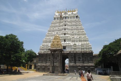 Darshan of Athi Varadar at Sri Varadharaja Perumal Temple.