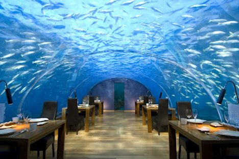 Underwater Establishments Where You Can Sleep and Eat With the Fishes