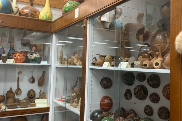 Some of the gourds displayed in cases