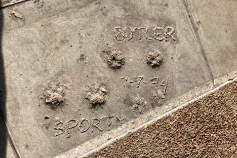 Butler’s Run