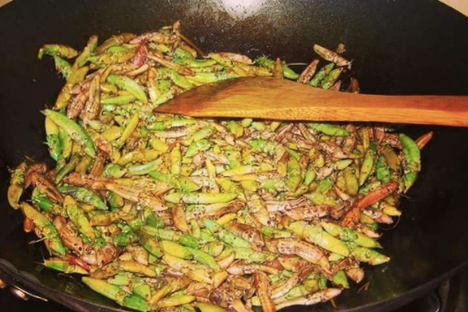 Nsenene ready to be fried in their own oil.